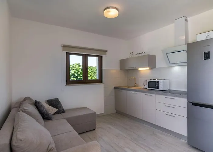 Irma Comfortable 발